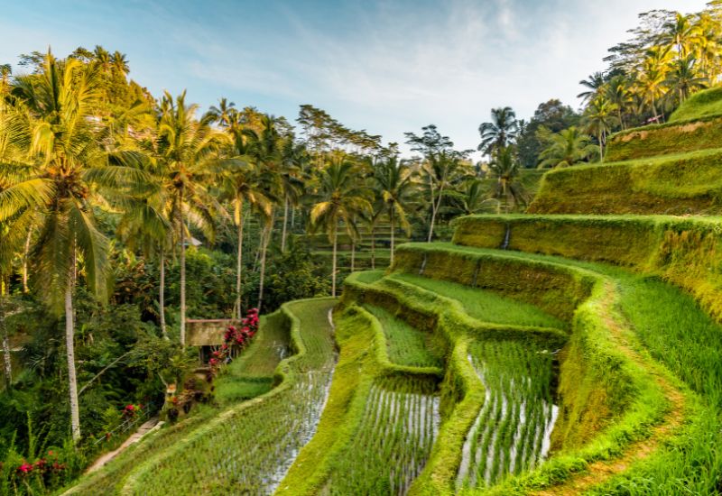 Pameran UMKM dan Ekonomi Kreatif